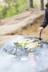 Fisch auf dem Lagerfeuer - FOLF04785