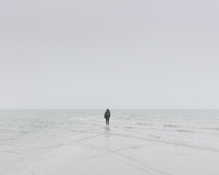 Person walking on beach during winter in Falsterbo, Sweden - FOLF05042
