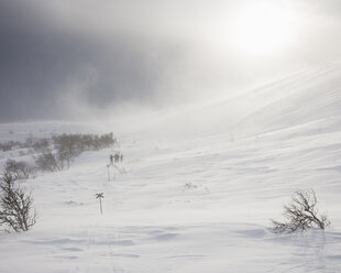 Schnee im Winter in Are, Schweden - FOLF05044