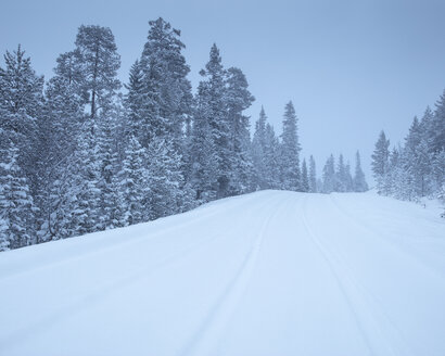 Ländliche Straße im Winter im Fulufjallet-Nationalpark, Schweden - FOLF05060