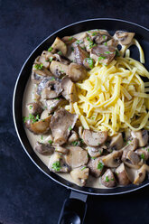 Champignons und Königstrompetenpilze in Sahnesauce mit Käsestreifen - CSF29005