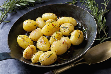 Bratkartoffeln mit Rosmarin in der Pfanne - CSF29013