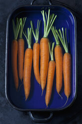 Raw carrots in a roasting tray - CSF29018