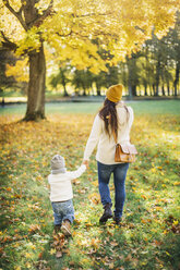Rear view of mother and son in autumn leaves - FOLF05235