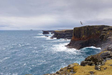 Felsenküste auf den Shetland-Inseln, Schottland, lizenzfreies Stockfoto