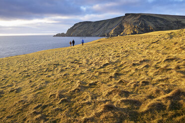 Garths Ness in Shetland, Schottland - FOLF05285