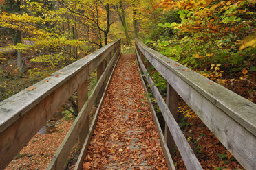 Deutschland, Sachsen-Anhalt, Nationalpark Harz, Brücke über den Ilse-Fluss im Ilsetal mit Herbstlaub - RUEF01837