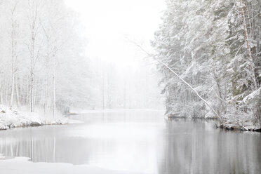 Fluss und schneebedeckter Wald - FOLF05430