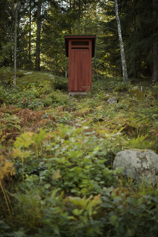 Toilette im Wald, lizenzfreies Stockfoto