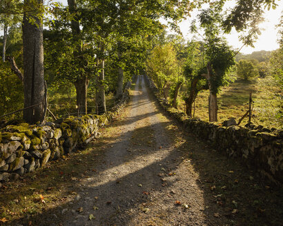 Ländliche Straße in Blekinge, Schweden - FOLF05447