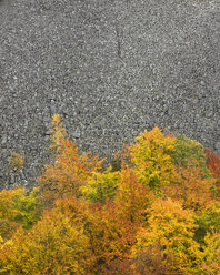 Herbstbäume im Soderasens-Nationalpark - FOLF05459