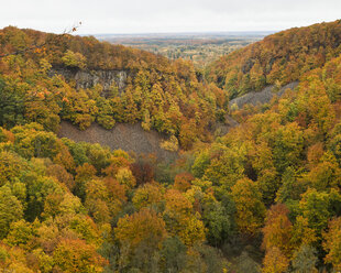 Herbstbäume im Soderasens-Nationalpark - FOLF05460