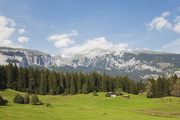 Schweiz, Graubünden, Bündner Alpen, Alpweiden und Blick auf die Alpen in der Region Flims - GWF05481