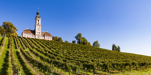 Germany, Baden-Wuerttemberg, Lake Constance district , Birnau Basilica and vineyard - WDF04532