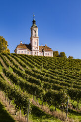 Germany, Baden-Wuerttemberg, Lake Constance district , Birnau Basilica and vineyard - WDF04533