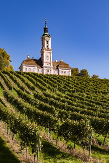 Deutschland, Baden-Württemberg, Bodenseekreis , Basilika und Weinberg Birnau - WDF04533