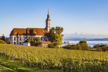 Deutschland, Baden-Württemberg, Bodensee, Basilika Birnau und Weinberg - WDF04534