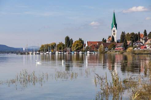 Deutschland, Baden-Württemberg, Bodensee, Ueberlinger See, Sipplingen, Marina - WDF04536