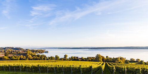 Germany, Baden-Wuerttemberg, Panoramic view of Lake Constance near Ueberlingen, vineyards - WDF04542