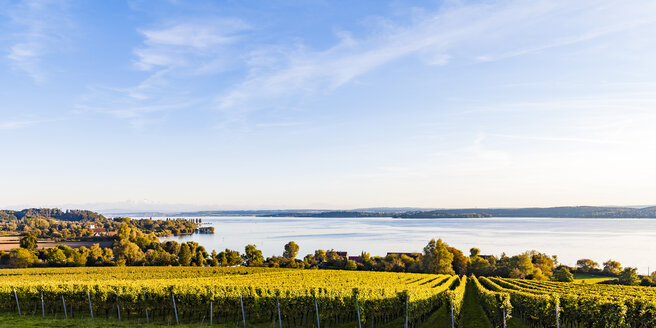 Deutschland, Baden-Württemberg, Panoramablick auf den Bodensee bei Überlingen, Weinberge - WDF04542