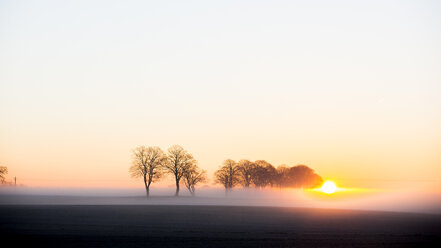 Landschaft mit aufgehender Sonne - FOLF05559