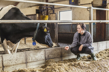 Milchviehhalterin bei der Arbeit - FOLF05607