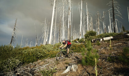 Low angle view of man cycling on field against bare trees - CAVF31238