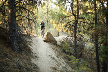 Mann beim Mountainbiking auf unbefestigtem Weg inmitten von Bäumen im Wald - CAVF31240
