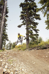 Low angle view of man mountain biking on dirt road in forest - CAVF31323