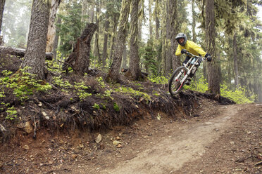 Mann beim Mountainbiken im Wald - CAVF31324