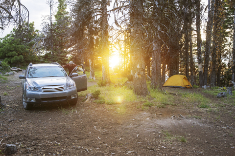 Wanderer steht neben Auto im Wald, lizenzfreies Stockfoto