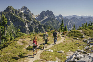 Rear view of friends hiking at North Cascades National Park against clear sky - CAVF31349