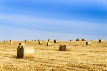 United Kingdom, Scotland, East Lothian, field and hay bales in the evening light - SMAF00995