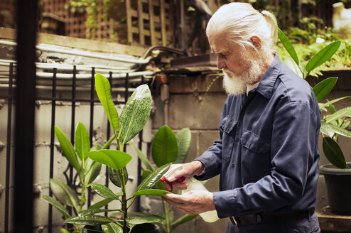 Älterer Mann gießt Pflanzen im Hinterhof - CAVF31537