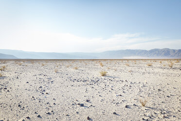 Trockenes Terrain im Death Valley National Park - FOLF05777