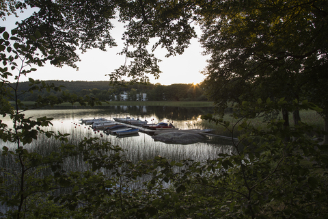 Boote am Steg auf dem See zwischen Bäumen, lizenzfreies Stockfoto