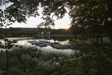 Boote am Steg auf dem See zwischen Bäumen - FOLF05814