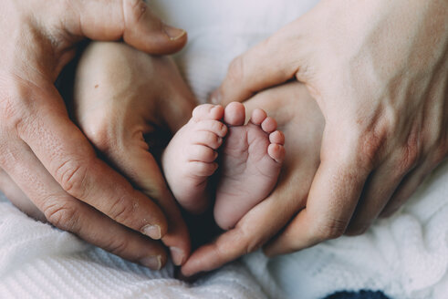 Father's and mother's hands holding baby's feet - GEMF01909