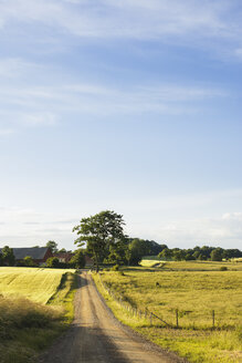 Landstraße in hügeliger Landschaft - FOLF05837