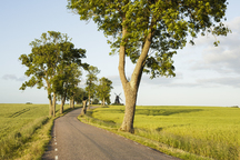 Country Road Stock Photo, Picture and Royalty Free Image. Image 35148281.