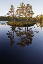 See Knuthojdsmossen mit kleiner Insel - FOLF05900