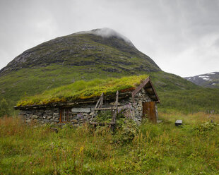 Overgrown stone hut in Jotunheimen range - FOLF05910