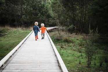 Rear view of brothers walking on boardwalk at field - CAVF31647