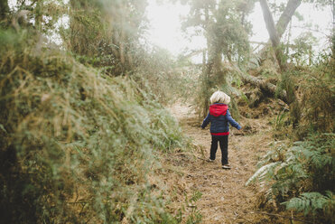 Rear view of boy walking on field amidst trees in forest - CAVF31660