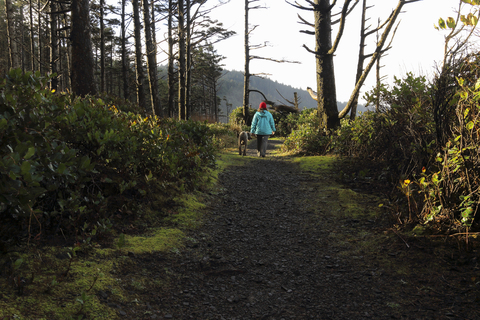 Rear view of woman with dog walking on dirt road amidst forest at Cape Lookout State Park stock photo