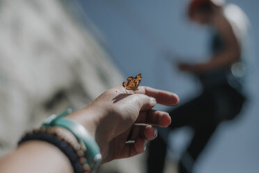 Moth on woman's hand with friend rock climbing in background during sunny day - CAVF31770