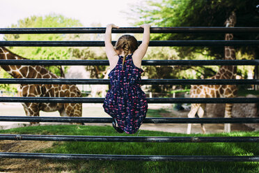 Rückansicht eines Mädchens, das auf ein Geländer auf einem Feld im Zoo klettert - CAVF31838