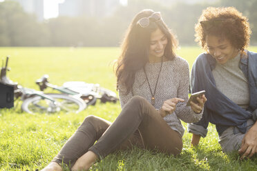 Friends using mobile phone while sitting on grassy field - CAVF31923