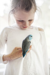 Girl holding blue pet bird - FOLF05940