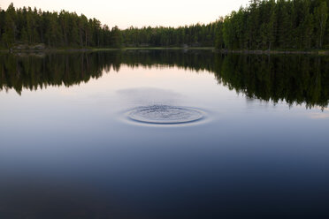 Circle ripple on lake surface - FOLF06022